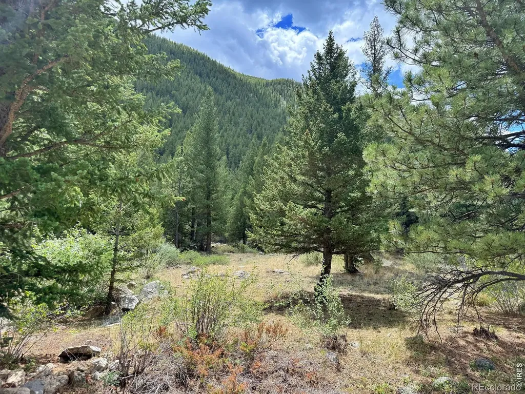 1944 Alvarado Road Georgetown CO 80444