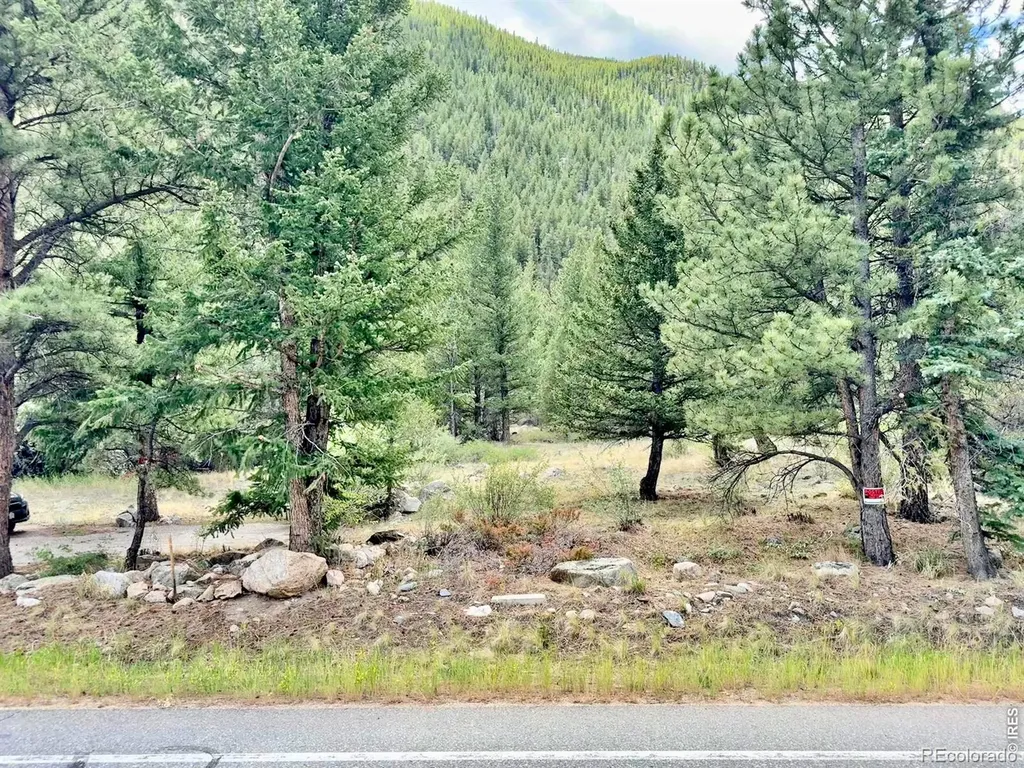 1944 Alvarado Road Georgetown CO 80444