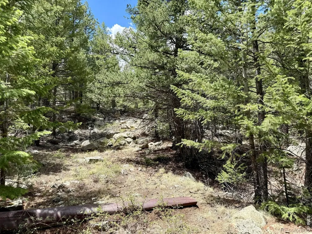 1944 Alvarado Road Georgetown CO 80444