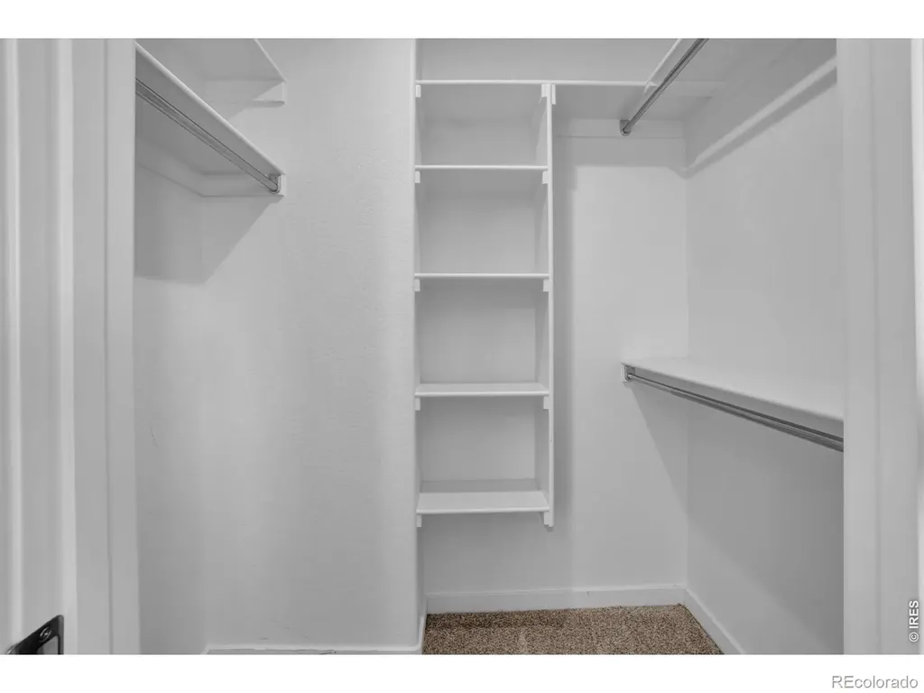 2104 Gather Court Windsor CO 80550