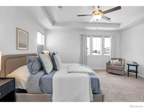 2104 Gather Court Windsor CO 80550