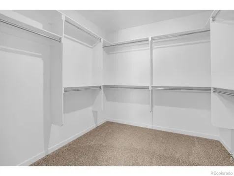 2104 Gather Court Windsor CO 80550