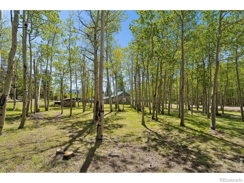 1763 Lump Gulch Road Black Hawk CO 80422