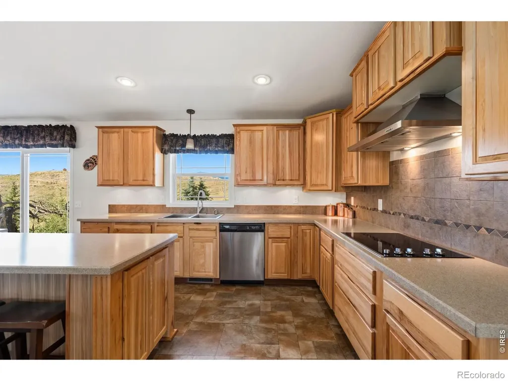 572 Horse Mountain Drive Livermore CO 80536