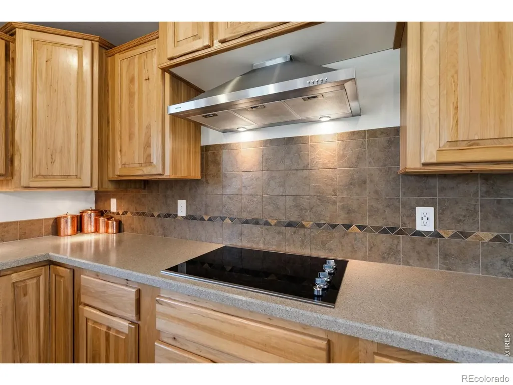 572 Horse Mountain Drive Livermore CO 80536