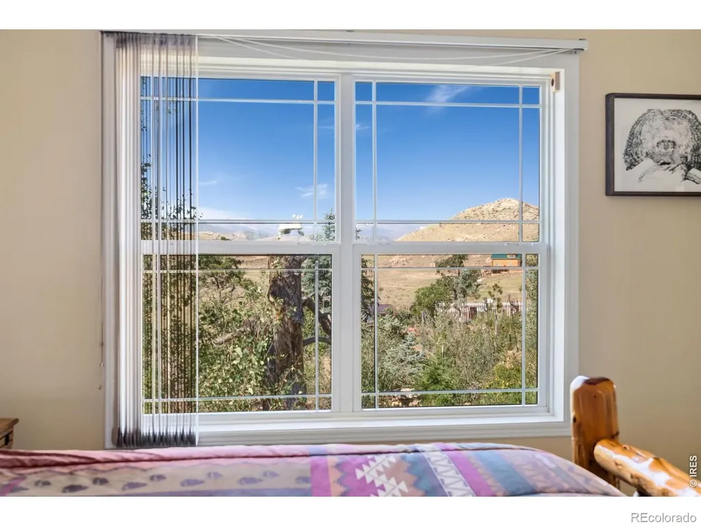 572 Horse Mountain Drive Livermore CO 80536