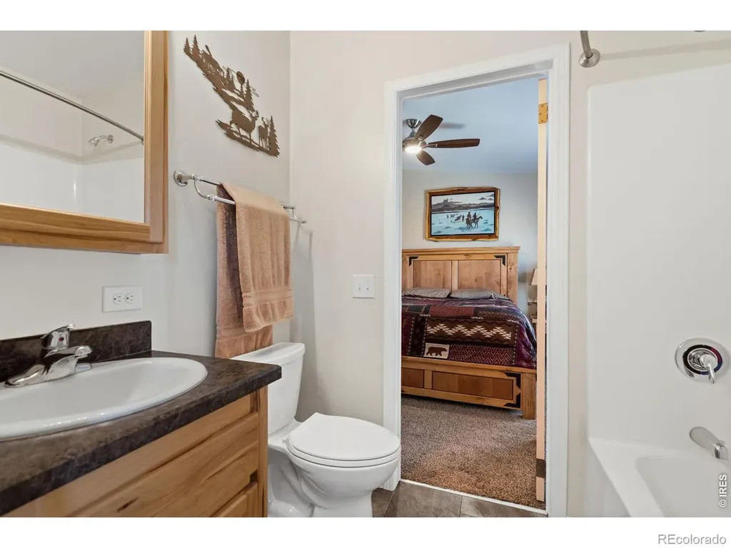 572 Horse Mountain Drive Livermore CO 80536