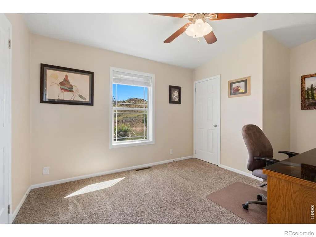 572 Horse Mountain Drive Livermore CO 80536