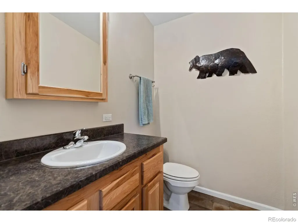 572 Horse Mountain Drive Livermore CO 80536