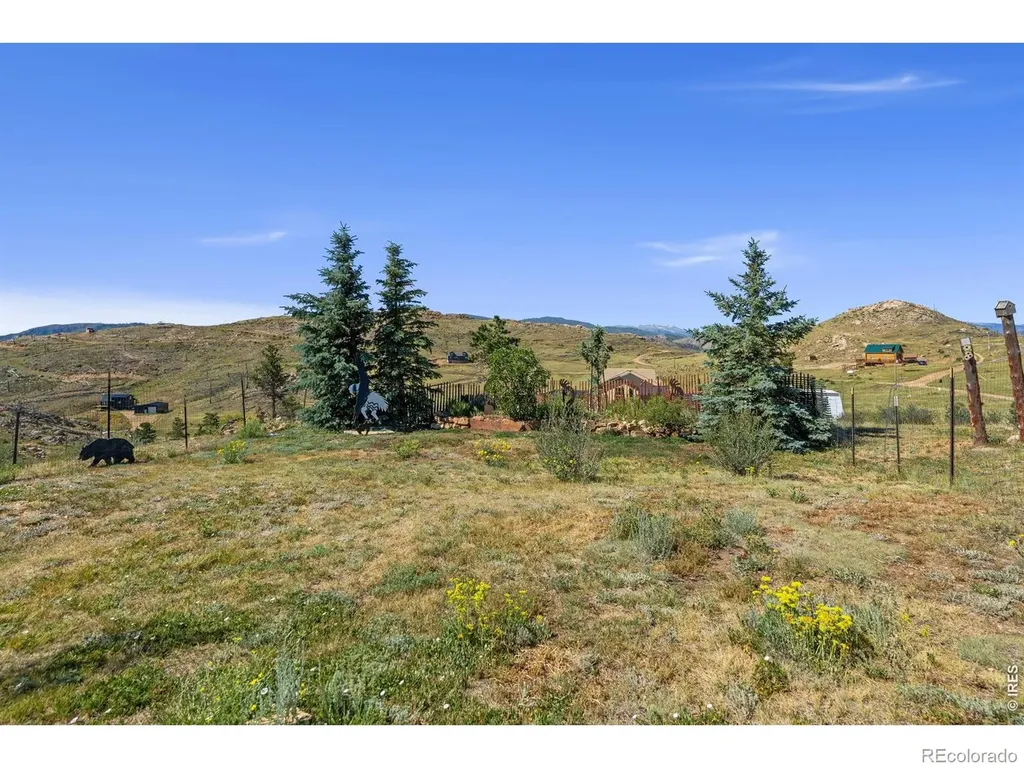 572 Horse Mountain Drive Livermore CO 80536