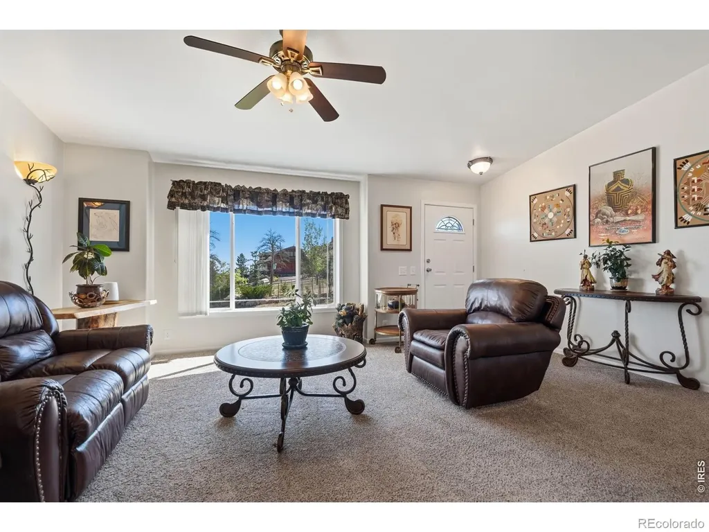 572 Horse Mountain Drive Livermore CO 80536