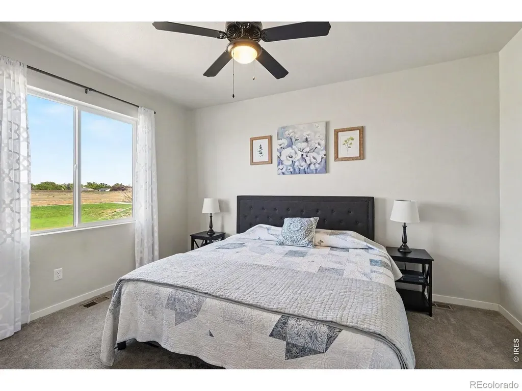 7467 Horsechestnut Street Wellington CO 80549