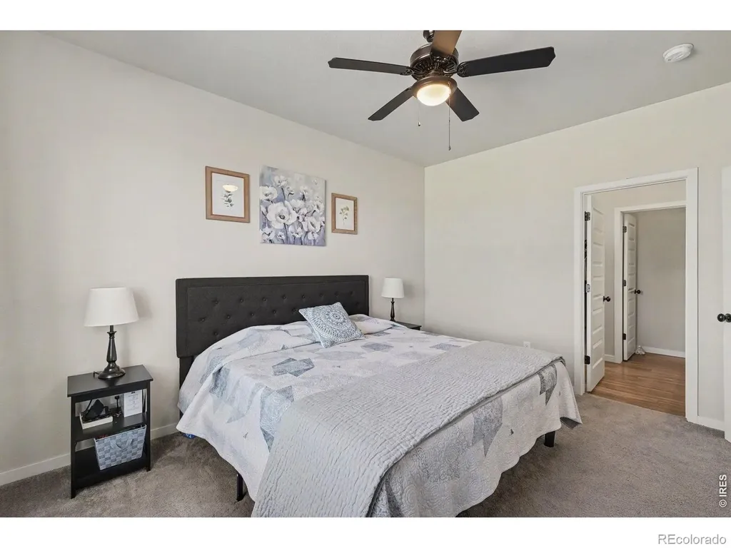 7467 Horsechestnut Street Wellington CO 80549
