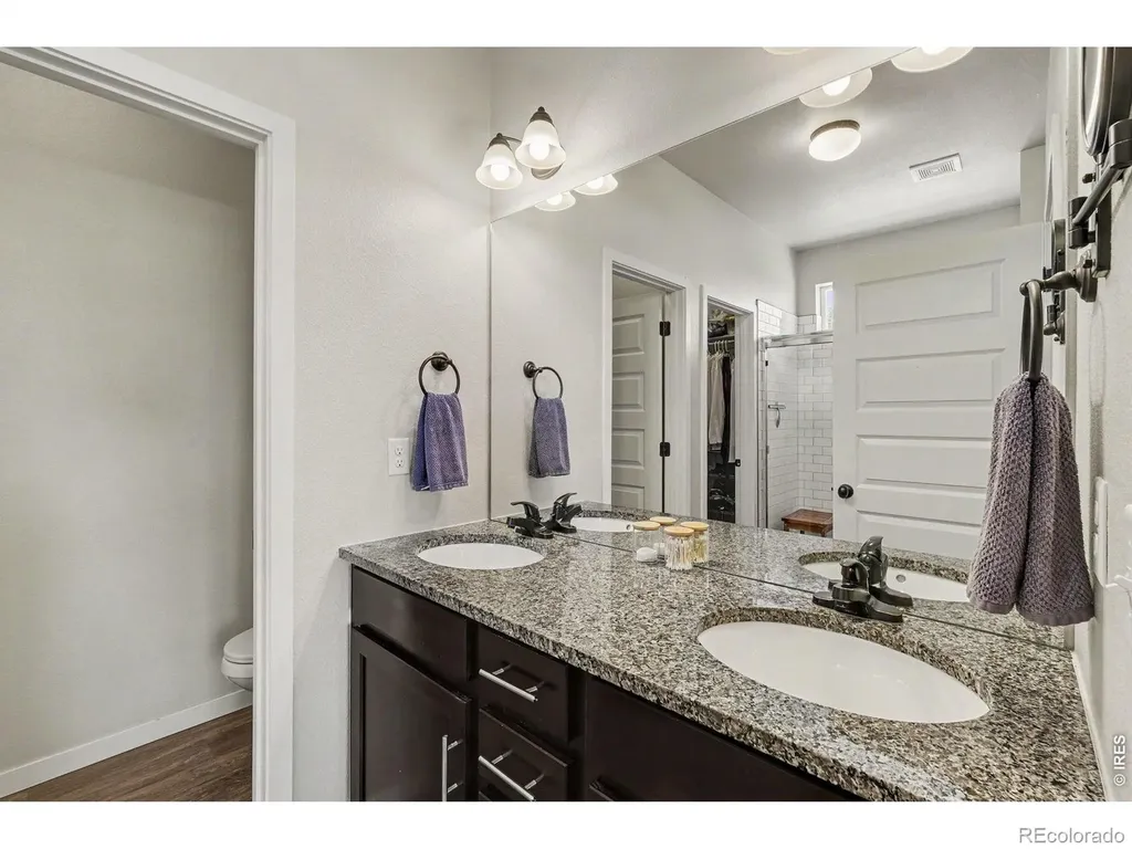 7467 Horsechestnut Street Wellington CO 80549