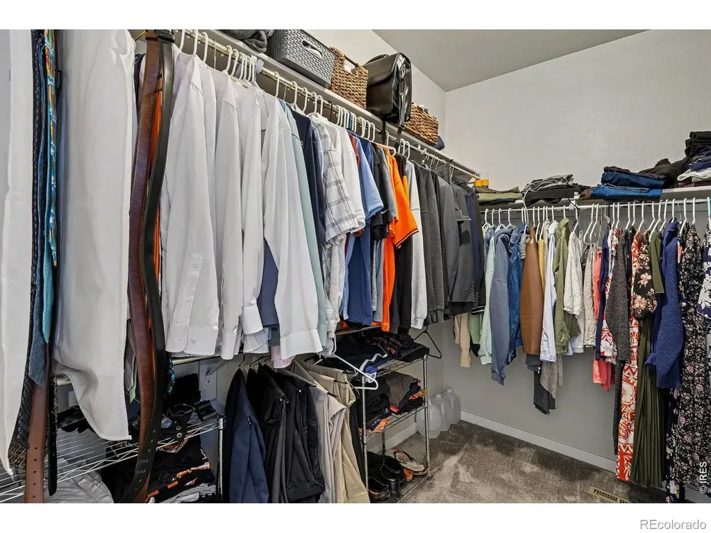 7467 Horsechestnut Street Wellington CO 80549