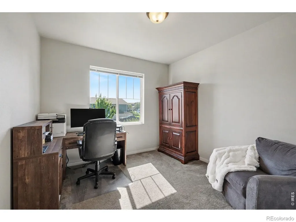 7467 Horsechestnut Street Wellington CO 80549
