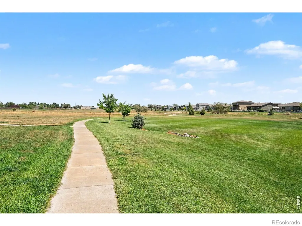 7467 Horsechestnut Street Wellington CO 80549