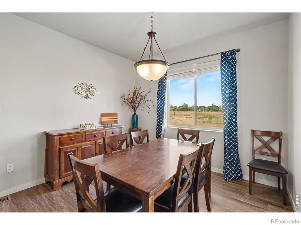 7467 Horsechestnut Street Wellington CO 80549