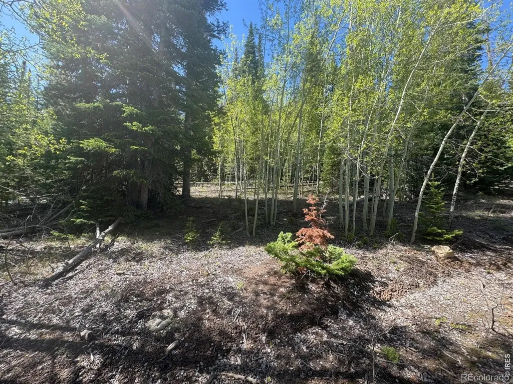 44 Wilderness Road Walden CO 80480