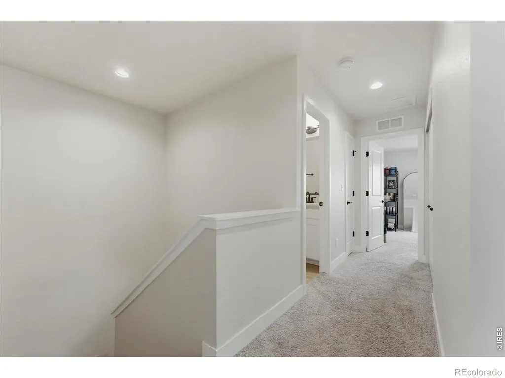 3217 Da Vinci Drive Loveland CO 80538