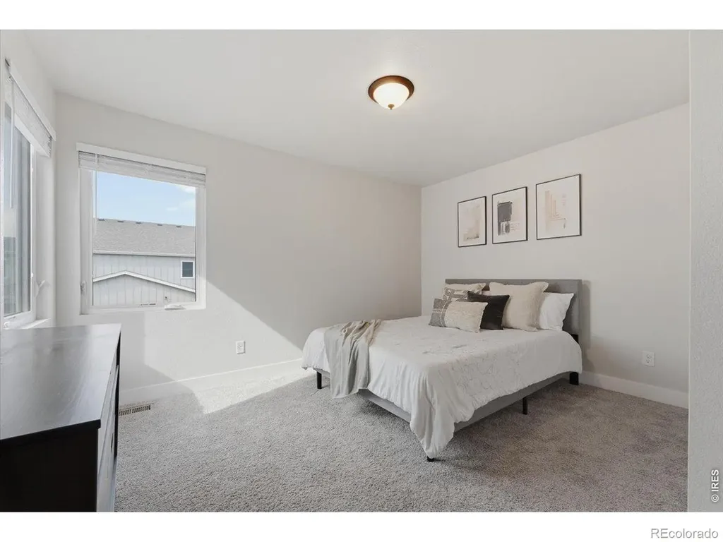 3217 Da Vinci Drive Loveland CO 80538