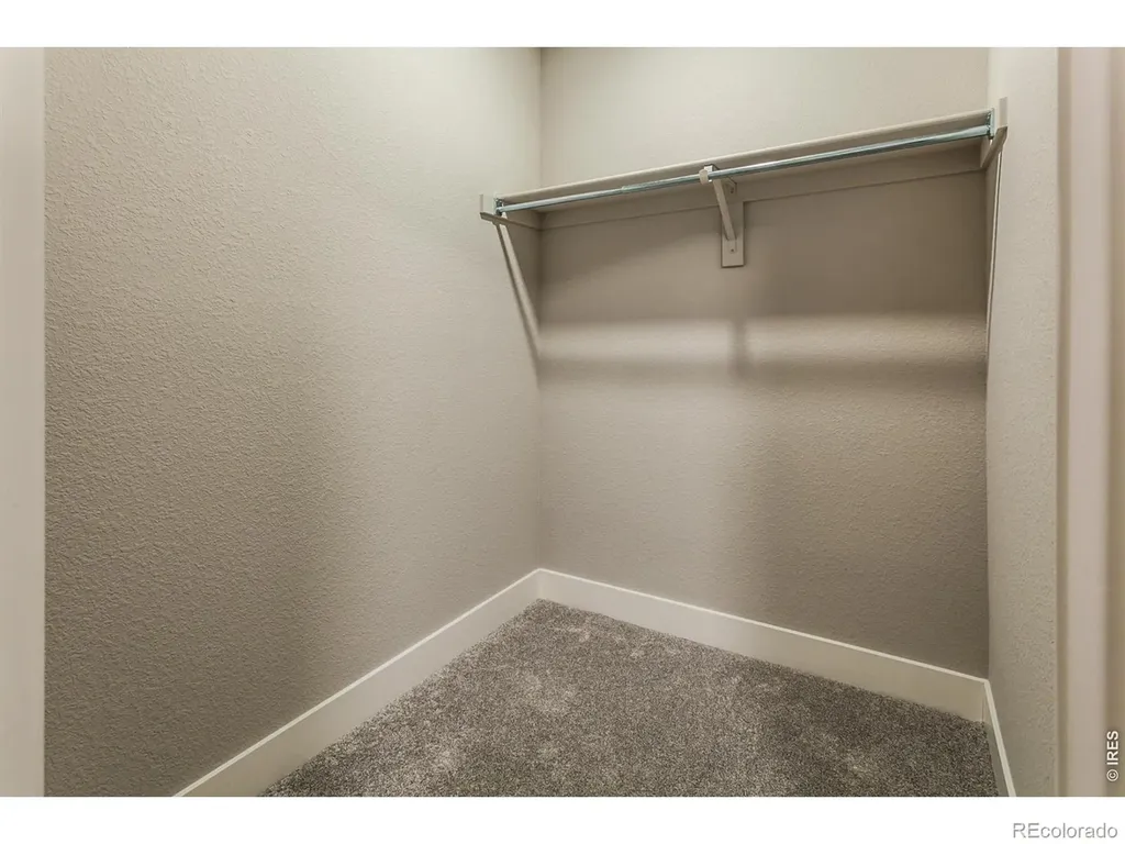 5417 Yancy Street Timnath CO 80547