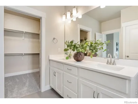 6224 Vernazza Way Windsor CO 80550