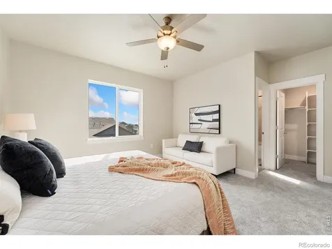 6224 Vernazza Way Windsor CO 80550