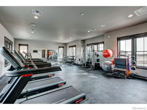 6224 Vernazza Way Windsor CO 80550