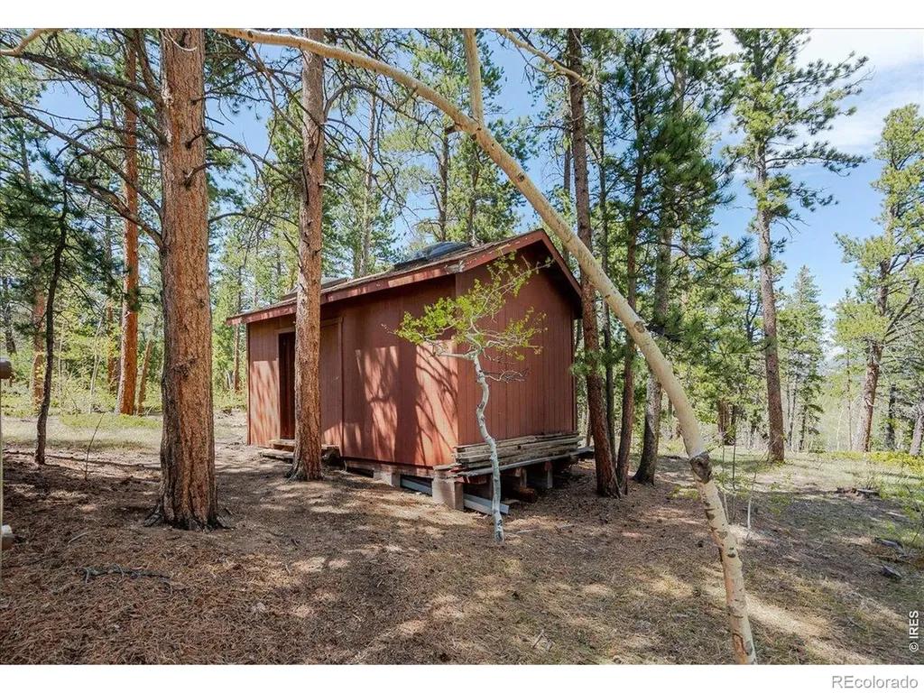 104 County Road 90 Allenspark CO 80510