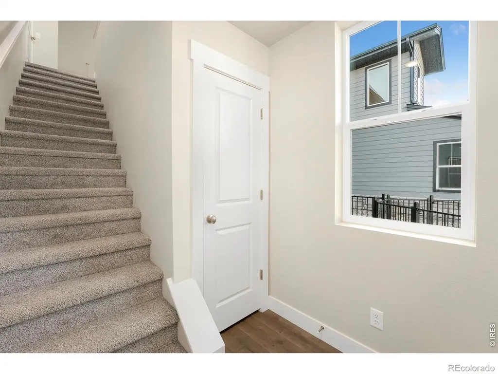 6793 Maple Leaf Drive Timnath CO 80547