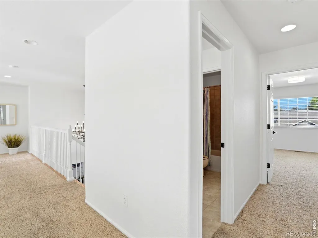 1633 Hallet Peak Drive Longmont CO 80503