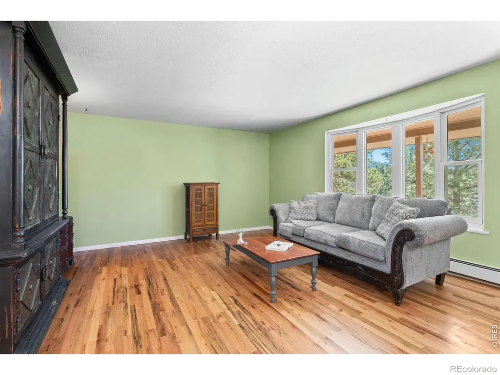 11053 Lindsey Road Conifer CO 80433
