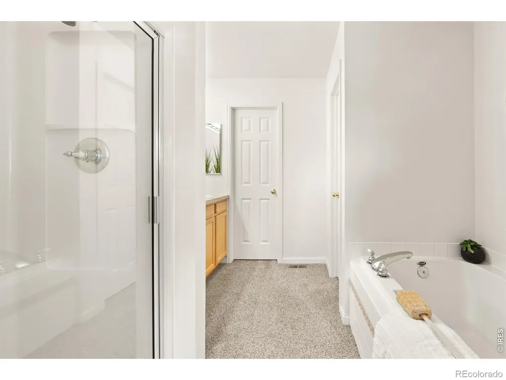 4065 Temple Gulch Circle Loveland CO 80538