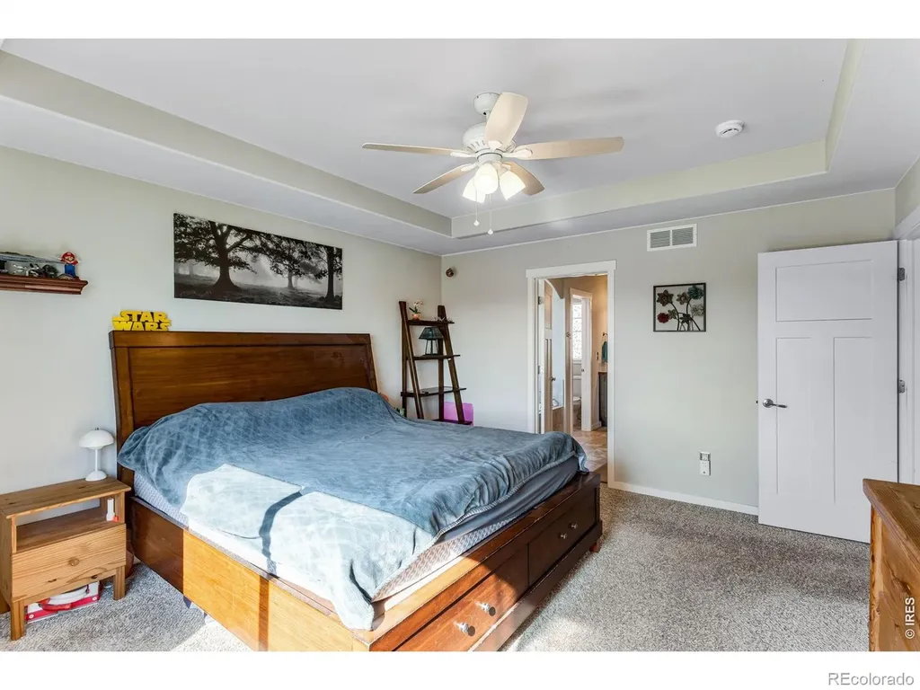 6913 Pettigrew Street Wellington CO 80549