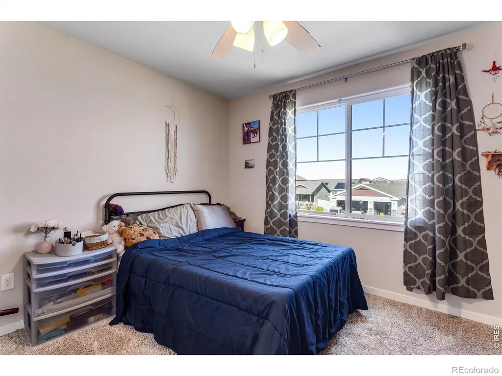 6913 Pettigrew Street Wellington CO 80549