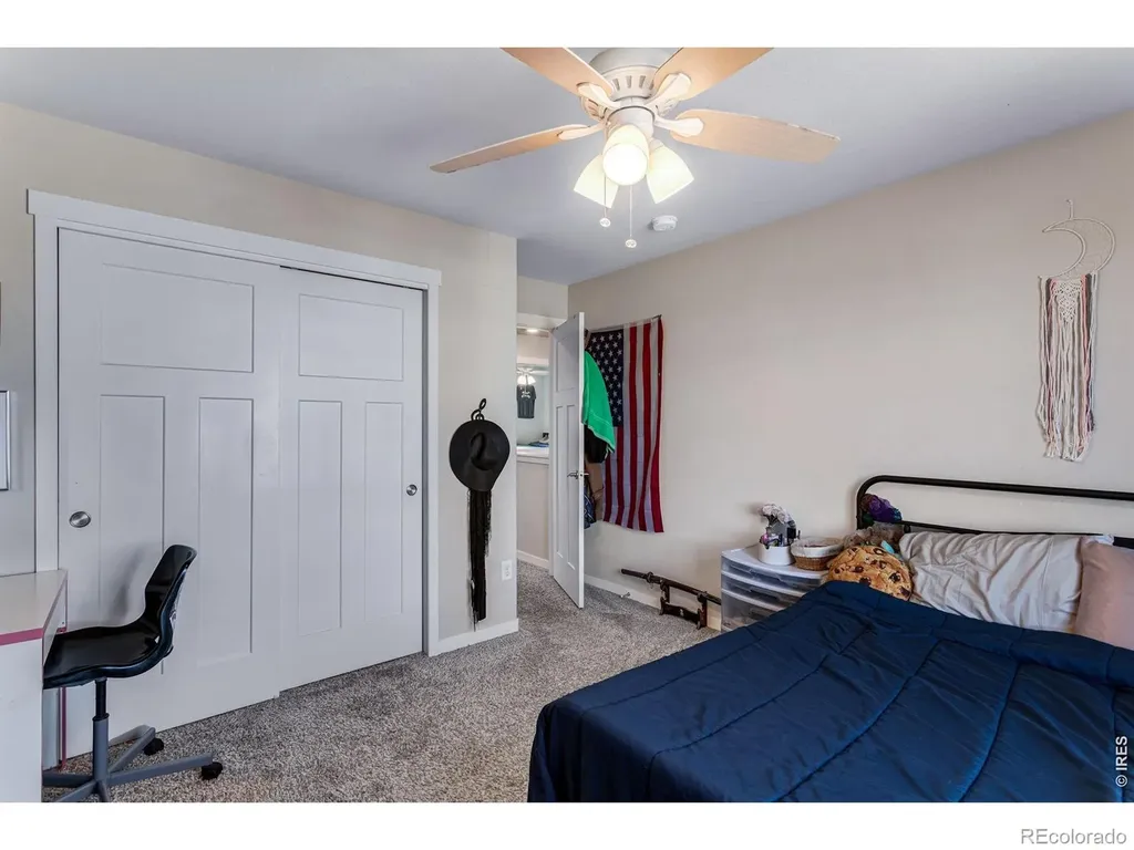 6913 Pettigrew Street Wellington CO 80549