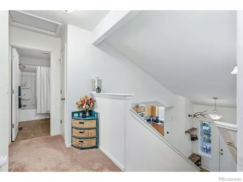 375 Shadowbrook Drive Windsor CO 80550