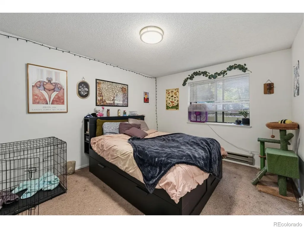 1209 W Plum Street Fort Collins CO 80521