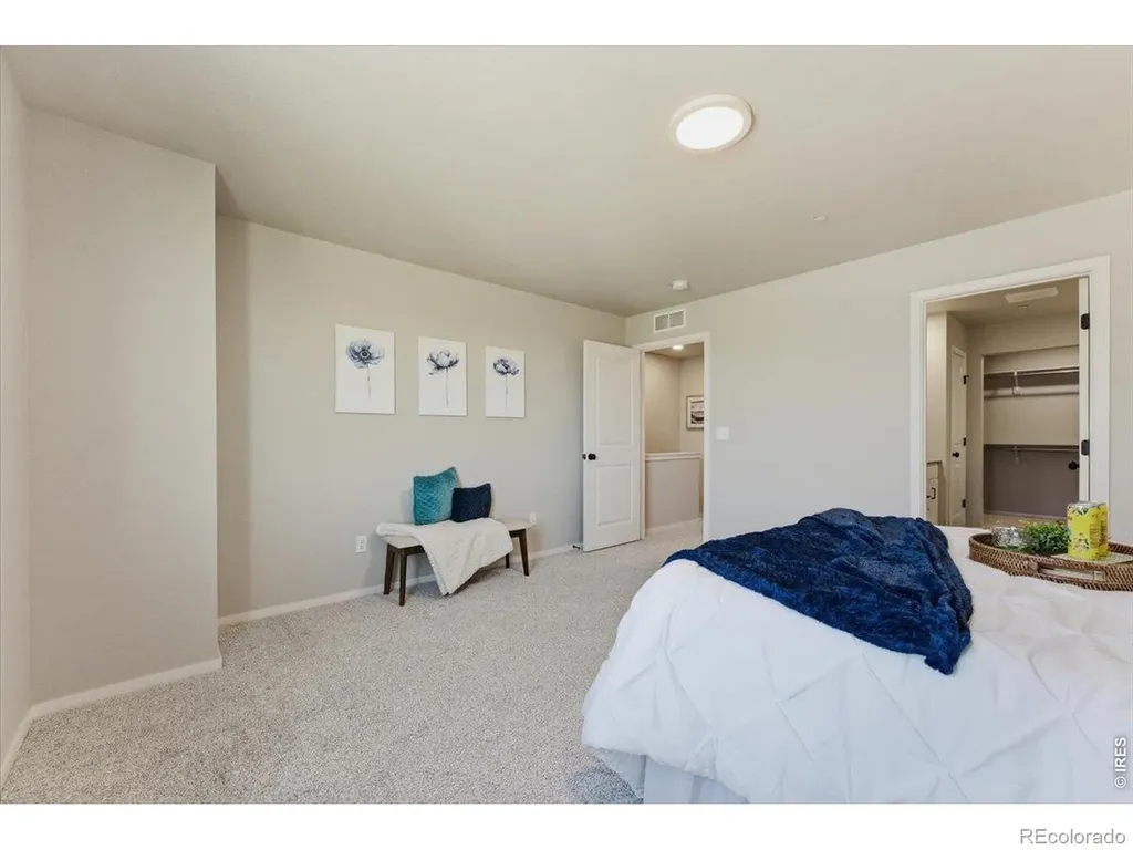 2726 Barnstormer Street Fort Collins CO 80524