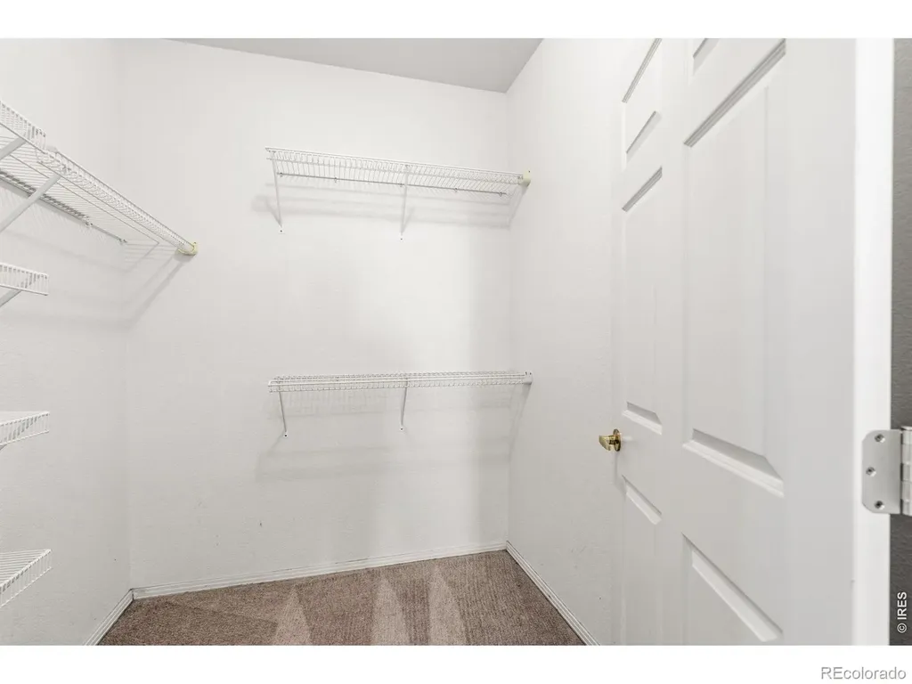 3002 W Elizabeth Street Fort Collins CO 80521