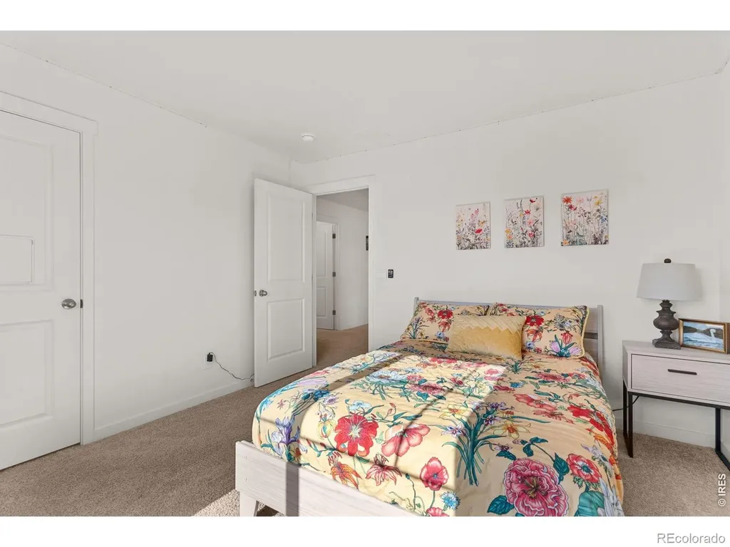 6402 Coralbell Street Wellington CO 80549