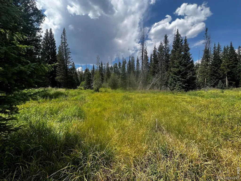 0 Forest Service Road Red Feather Lakes CO 80545