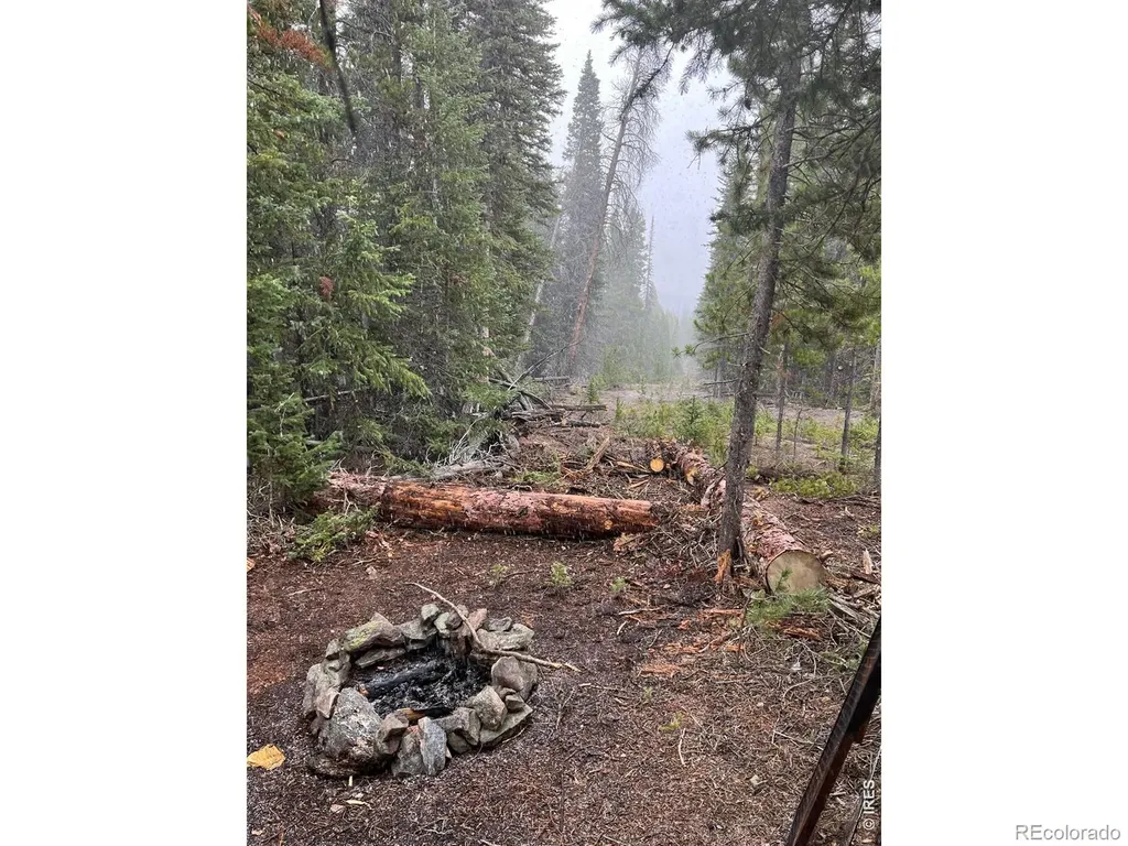 0 Forest Service Road Red Feather Lakes CO 80545