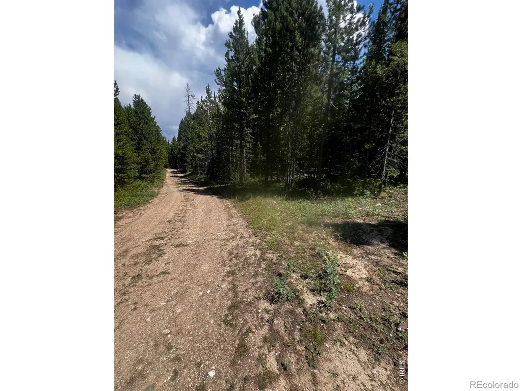 0 Forest Service Road Red Feather Lakes CO 80545