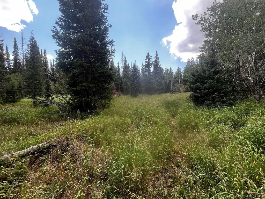 0 Forest Service Road Red Feather Lakes CO 80545