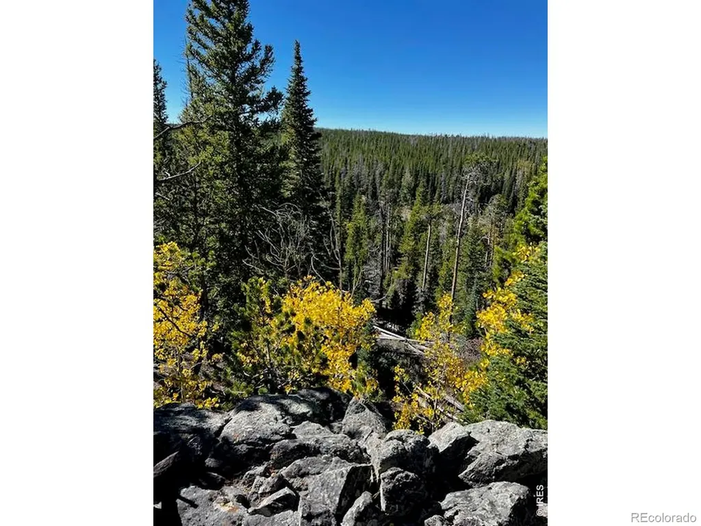 0 Forest Service Road Red Feather Lakes CO 80545