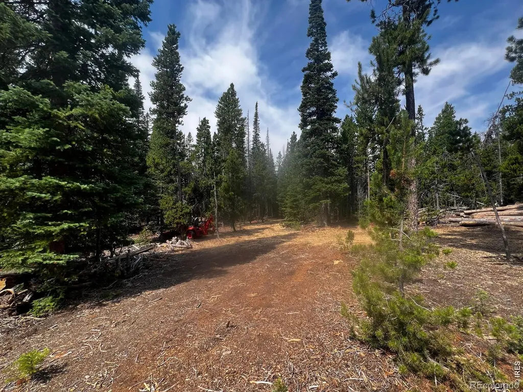 0 Forest Service Road Red Feather Lakes CO 80545