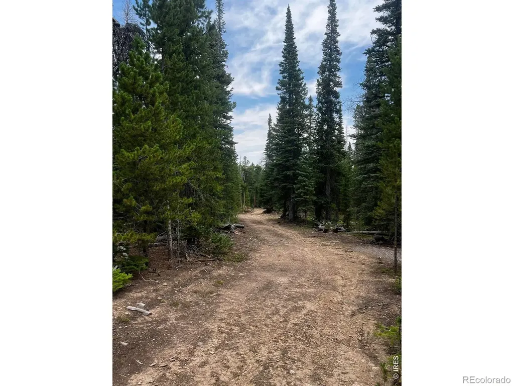 0 Forest Service Road Red Feather Lakes CO 80545