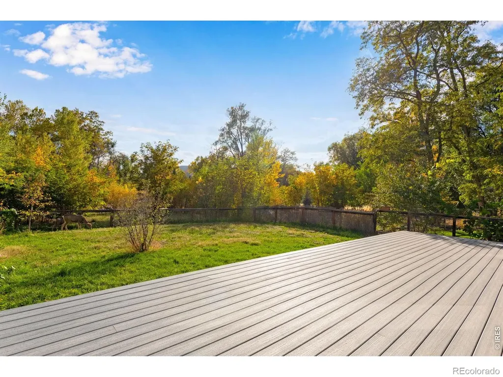 217 Park Street Lyons CO 80540